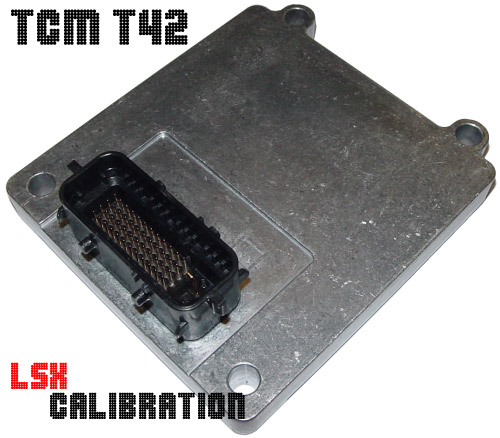 TCM T42